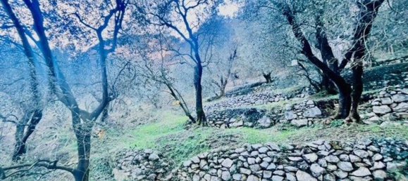 4500m² Land in Arco, Italy No. 89542 5