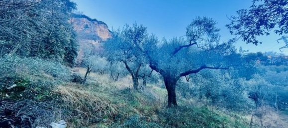 4500m² Land in Arco, Italy No. 89542 11