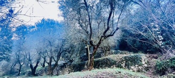 4500m² Land in Arco, Italy No. 89542 2