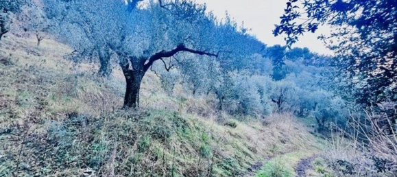 4500m² Land in Arco, Italy No. 89542 10