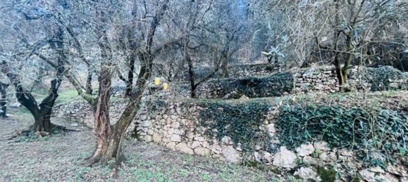 4500m² Land in Arco, Italy No. 89542 3