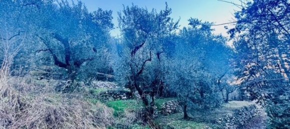 4500m² Land in Arco, Italy No. 89542 12