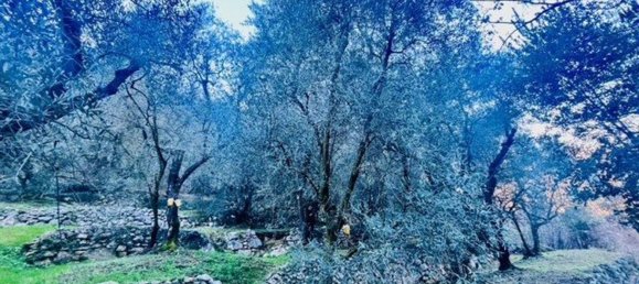 4500m² Land in Arco, Italy No. 89542 13