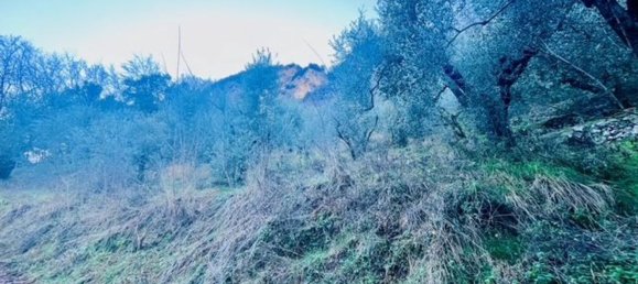 4500m² Land in Arco, Italy No. 89542 7