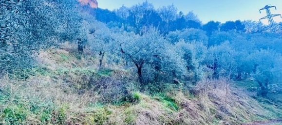 4500m² Land in Arco, Italy No. 89542 9