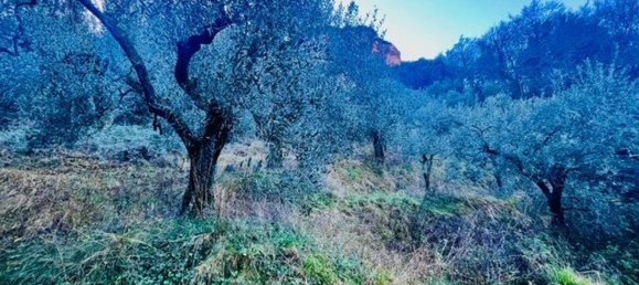 4500m² Land in Arco, Italy No. 89542 8