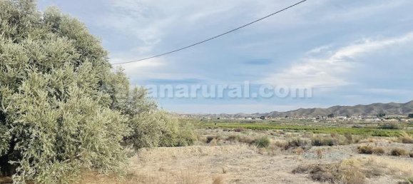 6 bedrooms Commercial property in Arboleas, Spain No. 11180 27