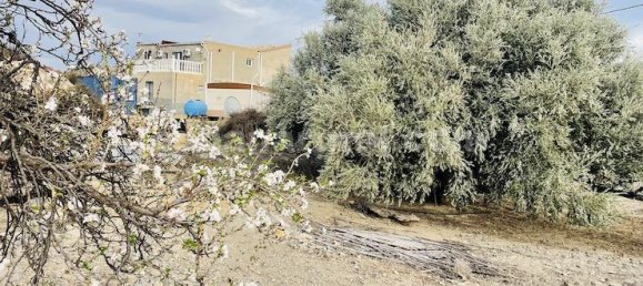 6 bedrooms Commercial property in Arboleas, Spain No. 11180 26