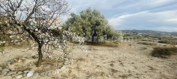 6 bedrooms Commercial property in Arboleas, Spain No. 11180 28