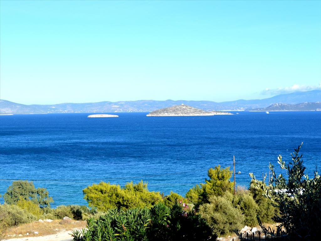 2 bedrooms Commercial property in Marathon, Greece No. 5980