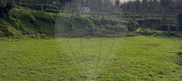 1 Schlafzimmer Haus in Celorico de Basto, Portugal, Nr. 37403 7