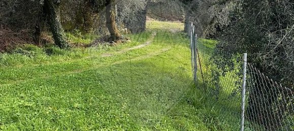 1 Schlafzimmer Haus in Celorico de Basto, Portugal, Nr. 37403 12