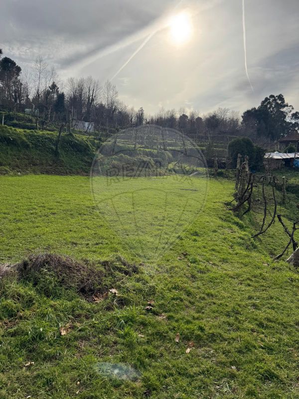1 Schlafzimmer Haus in Celorico de Basto, Portugal, Nr. 37403