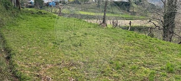 1 Schlafzimmer Haus in Celorico de Basto, Portugal, Nr. 37403 6