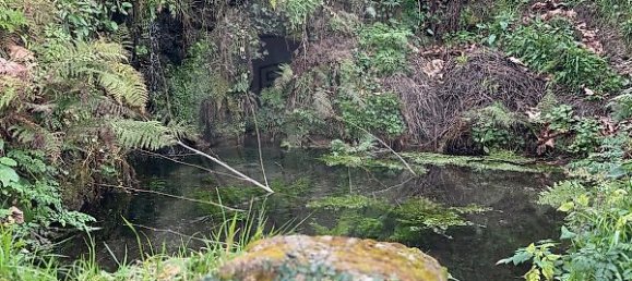 1 Schlafzimmer Haus in Celorico de Basto, Portugal, Nr. 37403 8