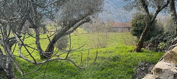1 Schlafzimmer Haus in Celorico de Basto, Portugal, Nr. 37403 3