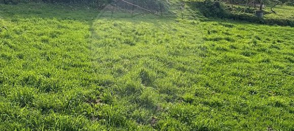 1 Schlafzimmer Haus in Celorico de Basto, Portugal, Nr. 37403 11