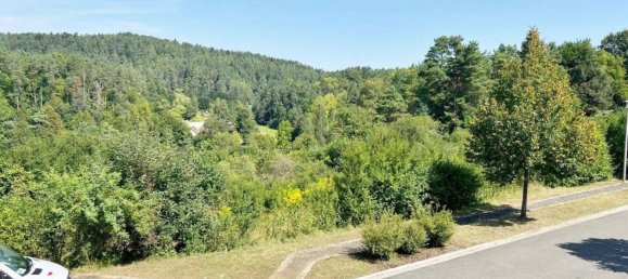 Terrain à Nurnberger Land, Germany No. 213294 4