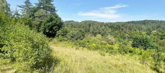 Terrain à Nurnberger Land, Germany No. 213294 2