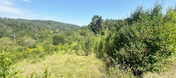 Terrain à Nurnberger Land, Germany No. 213294 3