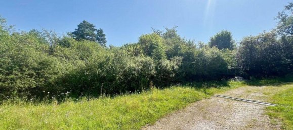 Terrain à Nurnberger Land, Germany No. 213294 5