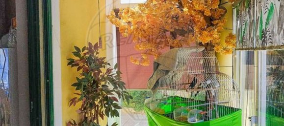 Casa de 4 dormitorios en Ericeira, Portugal No. 182396 15