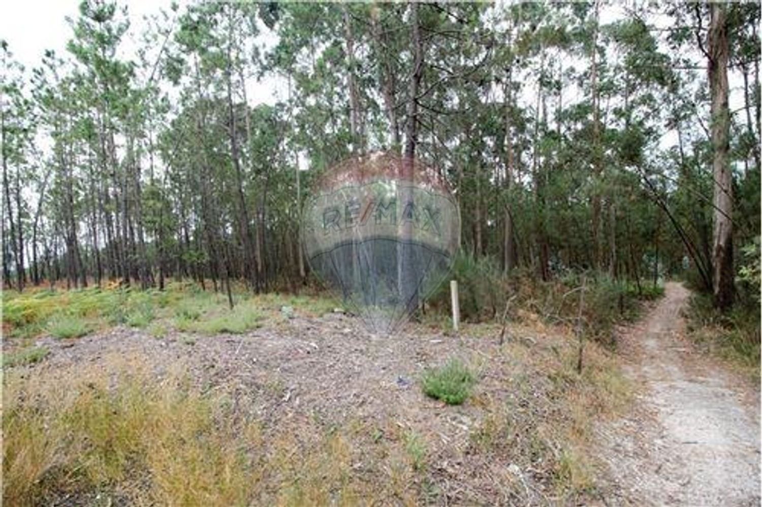 Terrain à Agilde, Portugal 2708m² No. 54936