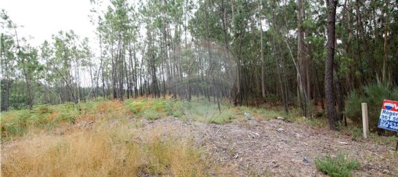 Terrain à Agilde, Portugal 2708m² No. 54936 5