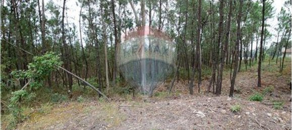 Terrain à Agilde, Portugal 2708m² No. 54936 2