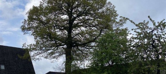 7 chambres Café / restaurant à Cuxhaven, Germany No. 172155 12