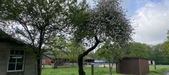 7 chambres Café / restaurant à Cuxhaven, Germany No. 172155 13