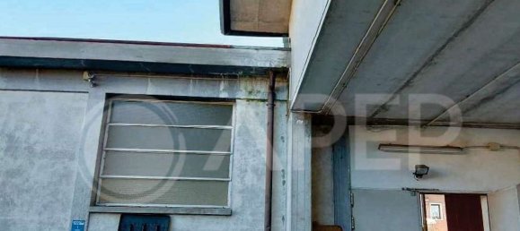 890m² Warehouse in Noventa Padovana, Italy No. 309460 12