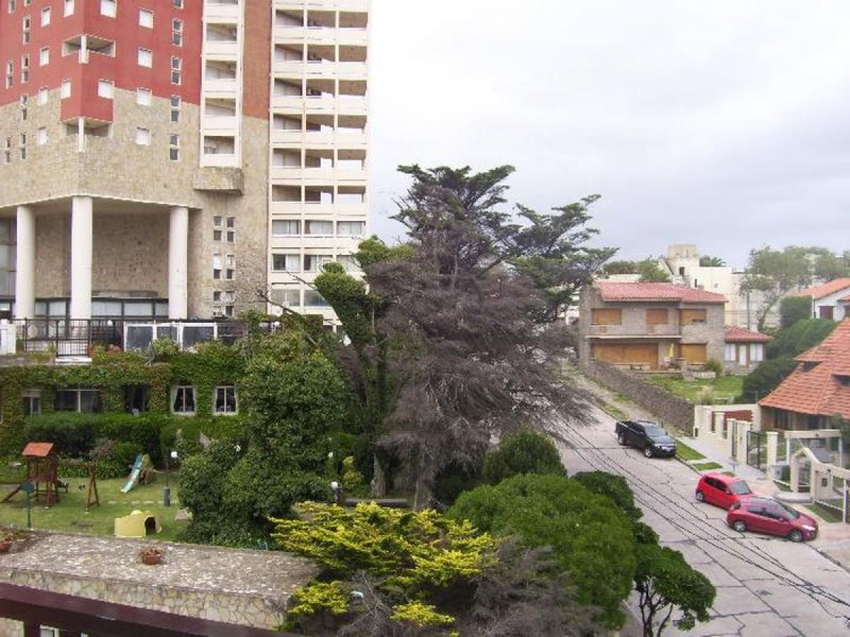 Studio à Mar del Plata, Argentina No. 99096