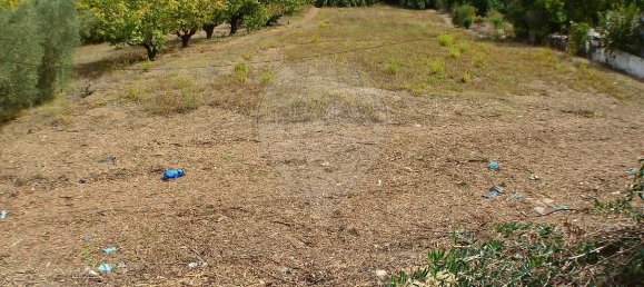 Terrain à Alenquer, Portugal 3080m² No. 177888 6