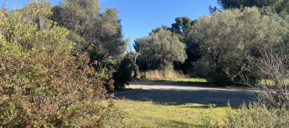 2000m² Land in La Cadiere-d'Azur, France No. 223453 5