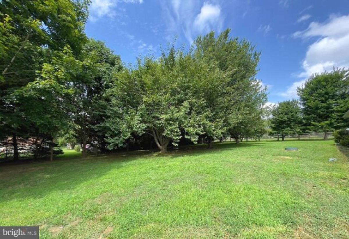 3 Schlafzimmer Haus in Elkton, USA, Nr. 377177