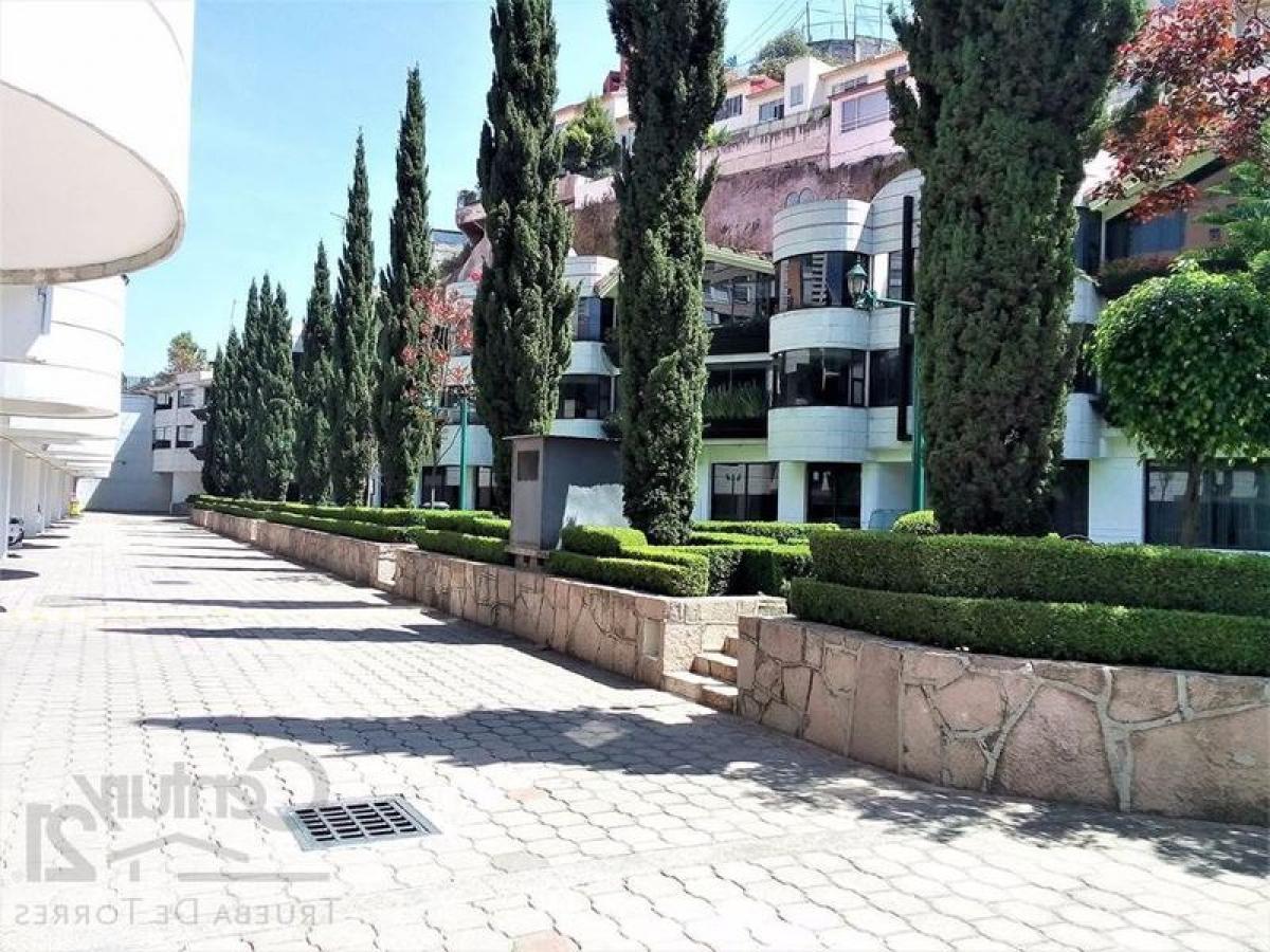 Квартира с 3 спальнями в Мехико, Мексика № 208784