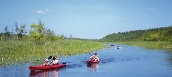 Casa de 2 dormitorios en Mecklenburgische Seenplatte, Germany No. 150556 24