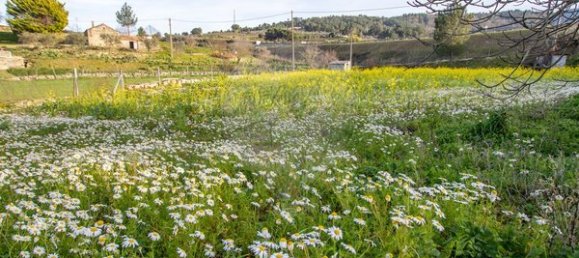 4 غرف نوم منزل في Celorico da Beira, Portugal رقم 36544 21