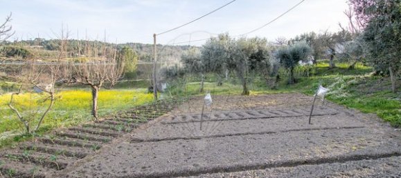 4 غرف نوم منزل في Celorico da Beira, Portugal رقم 36544 33