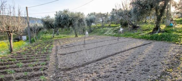 4 غرف نوم منزل في Celorico da Beira, Portugal رقم 36544 25