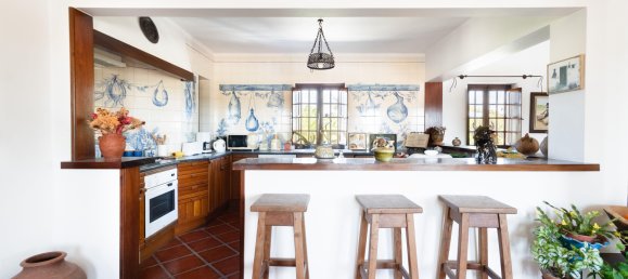 6 bedrooms House in Montemor o Novo, Portugal No. 101821 8