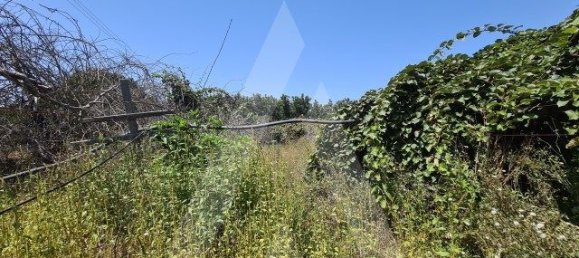 Terreno em Oliveira do Bairro, Portugal 1490 m² N.º 87885 4