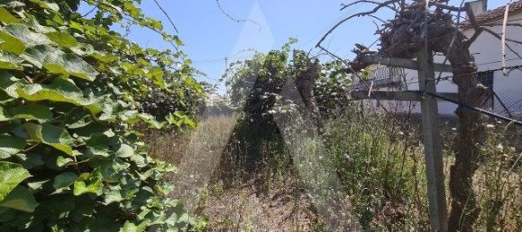 Terreno em Oliveira do Bairro, Portugal 1490 m² N.º 87885 2