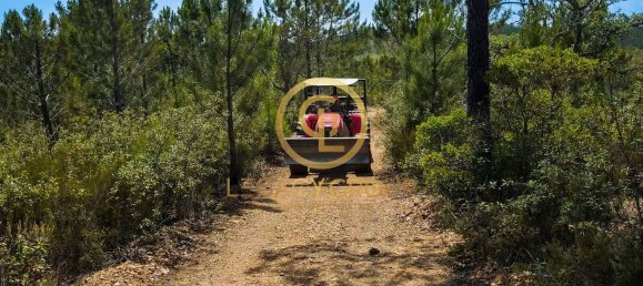 42180m² Land in Salir, Portugal No. 55003 13