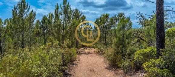 42180m² Land in Salir, Portugal No. 55003 2