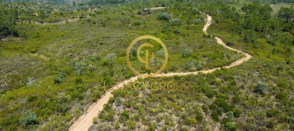 42180m² Land in Salir, Portugal No. 55003 10