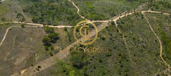 42180m² Land in Salir, Portugal No. 55003 12