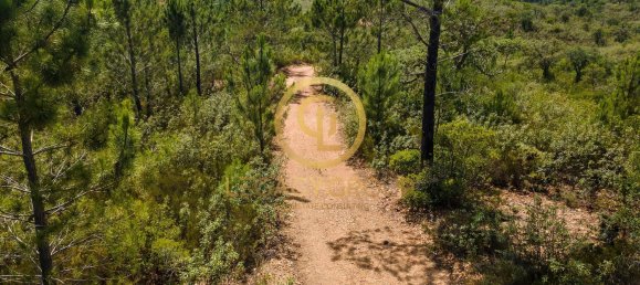 42180m² Land in Salir, Portugal No. 55003 9