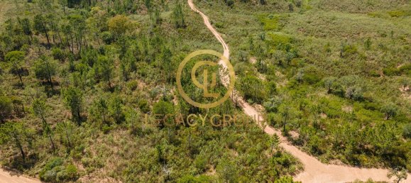 42180m² Land in Salir, Portugal No. 55003 8